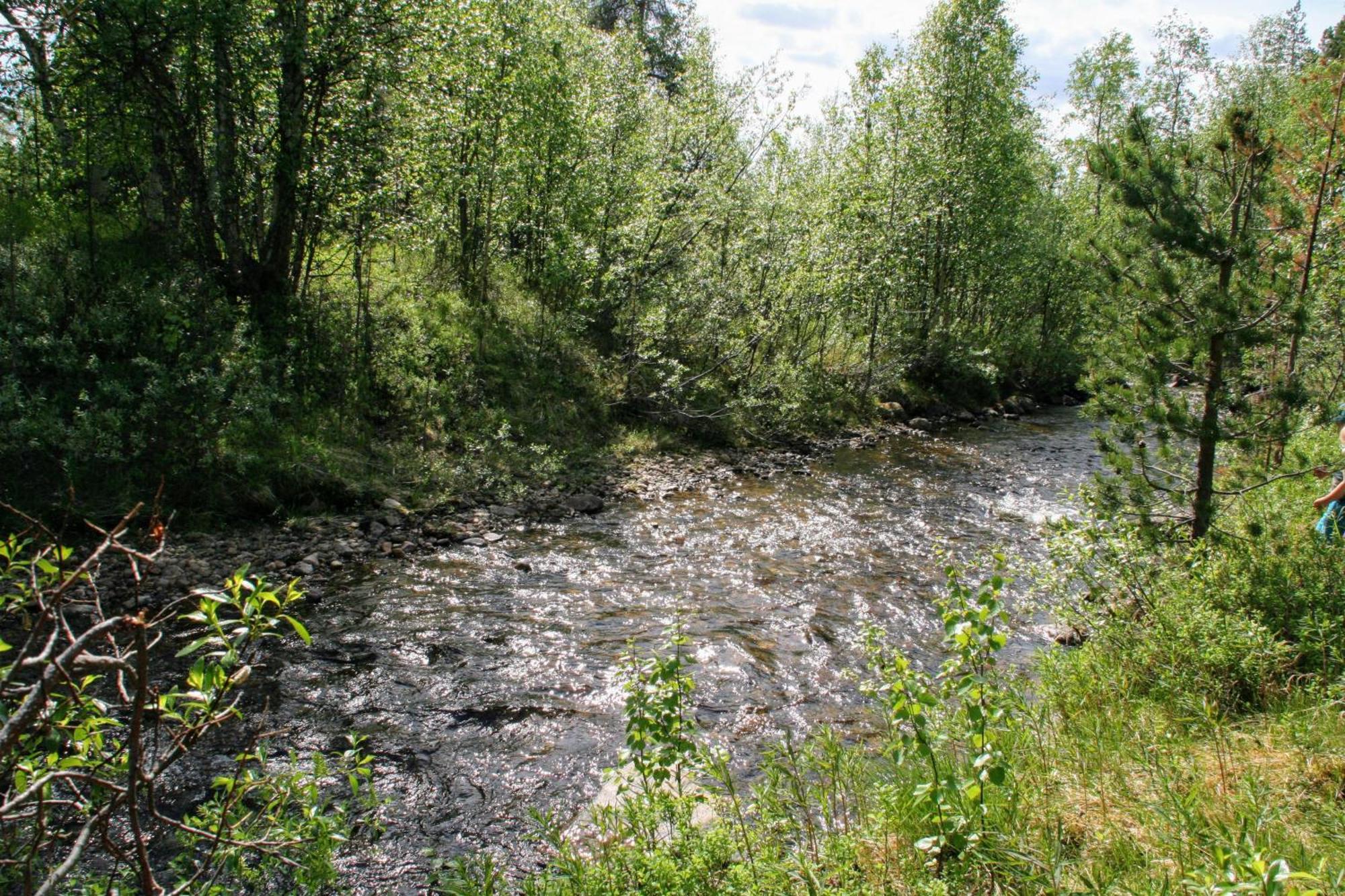 Вилла Paltto Elaemysretket Lemmenjoki Номер фото